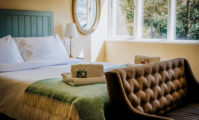 Room 24